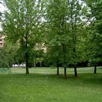 Sos Verde Pubblico ad Arezzo