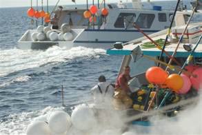 Catamarano di ricerca Oceana attaccato da pescherecci Francesi