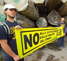Greenpeace: da Salerno a Ravenna, controllo sul legni del Congo