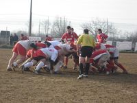 Arieti in campo domenica