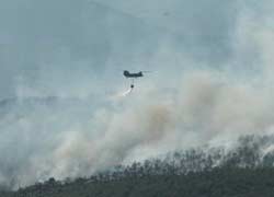 Incendi boschivi: canadair ed elicotteri in azione su 23 roghi