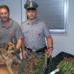 20080914_gdf_firenze_droga