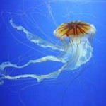 20080926_medusa_genova