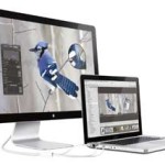 20081014_cinema_display24