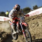 20081026_ahola_trestina