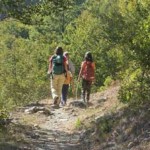 20081031_parco_escursioni