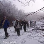 20090122_sci_parco