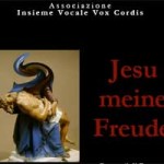 20090329_vox_cordis