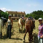 20090408_cavallo