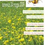 20090514_avv_meravigliosa