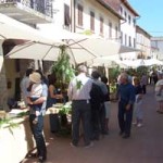 20090528_mercato_cacio