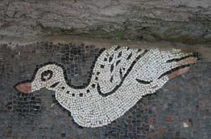 I mosaici romani di Palazzo Lambardi aperti al pubblico