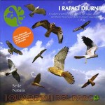 20090919_rapaci_diurni