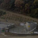 20091208_fitodepuratore_civitella