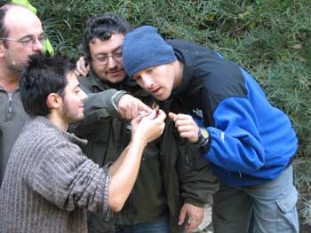 ‘Racconti di biodiversità nel Parco delle Foreste Casentinesi’