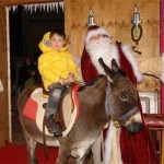 20091224_amici_asino