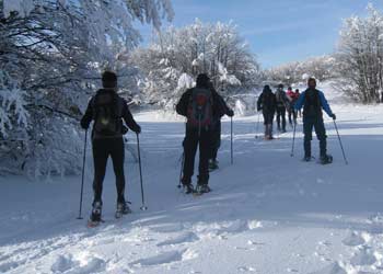 Arriva la neve sulle parco nazionale Foreste casentinesi