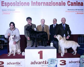13 e 14 febbraio: la Mostra Internazionale canina raddoppia