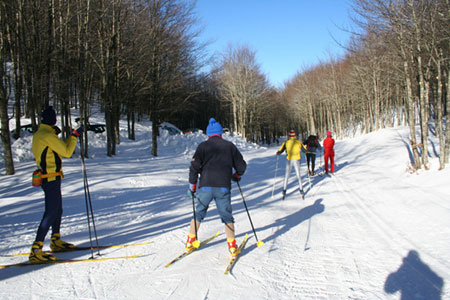 Parco del Casentino: un week end pieno di iniziative