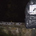 20100226_casapound_arezzo