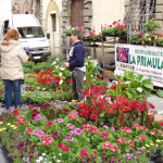 20100317_fiera_lucignano