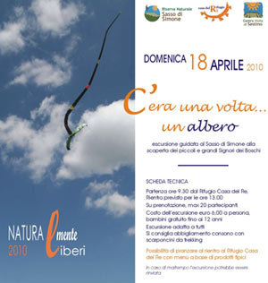 C’era una volta……un albero