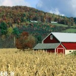 20100428_agricoltura_sviluppo_rurale