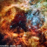 20100519_ghirlanda_fiorita