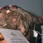 20100531_prosciutto_casentino