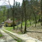 20100603_canile_casentino