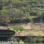 20100611_chiodo_fisso