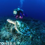 20100617_mare_sub_immersioni
