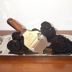 20100713_tartufo_boscovivo