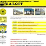 20100724_calcit