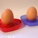 20100914_uova_galline