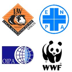 Comunicato congiunto Enpa, Lav, Oipa e WWF su macellazione Islamica