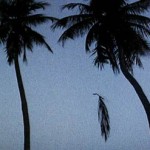 20100930_mostra_annunciazioni