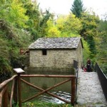 20101004_parco_castagna_mulino