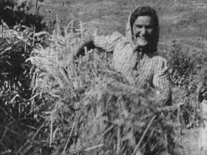 Le radici della Toscana