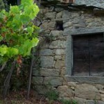20101027_parco_raggiolo