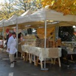 20101109_festa_olio_nuovo