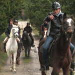 20101125_parco_cavalli