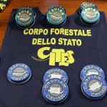 20101202_forestale_caviale