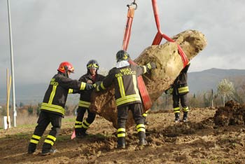 Alberi e Opere d’Arte in due rotatorie