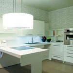 20101217_del_tongo_cucina