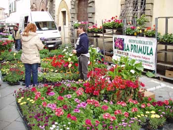 A Lucignano la fiera promozionale