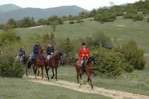 1° Torneo di Caccia alla Volpe Simulata
