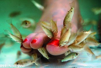 Fish pedicure: la cura del piede diventa momento di relax e coccole