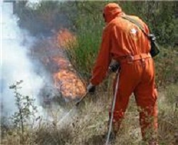 Incendi boschivi, raccomandazioni dell’assessore provinciale Cutini