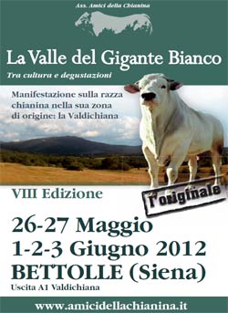 ‘La Valle del Gigante Bianco’ a Bettolle l’ottava edizione